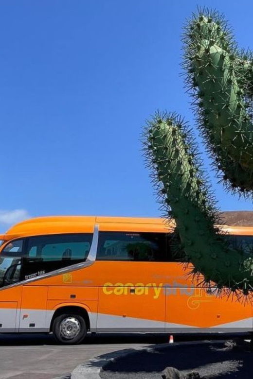 Tenerife South Airport: Bus Transfer to Los Cristianos