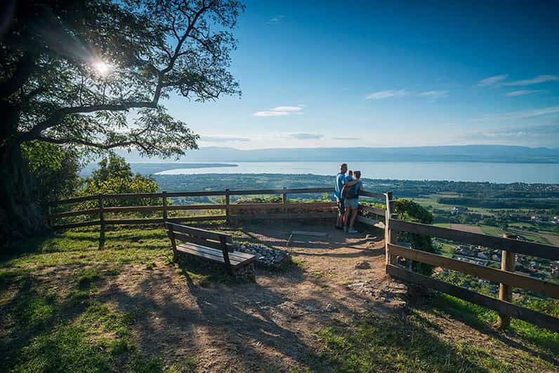 The Pearl of Lake Geneva 2days/1nights From Geneva