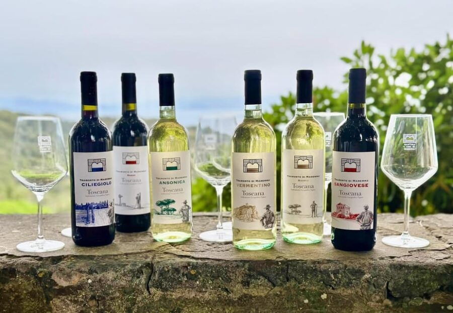 The Wines of Maremma, Let's Get to Know Vermentino - Overview of the Experience