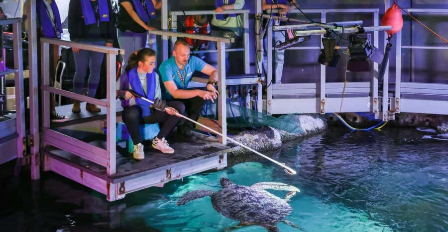 Timmendorfer Strand: SEA LIFE Behind the Scenes Tour