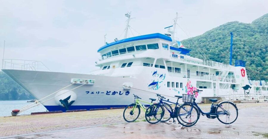 Tokashiki Island : Guided Cycling Tour 5h - Tour Overview