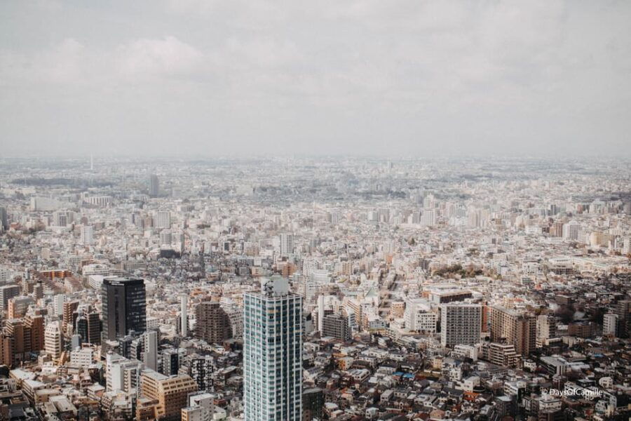 Tokyo, Half Day : Private Tour With an Expert ! - Overview of the Tour