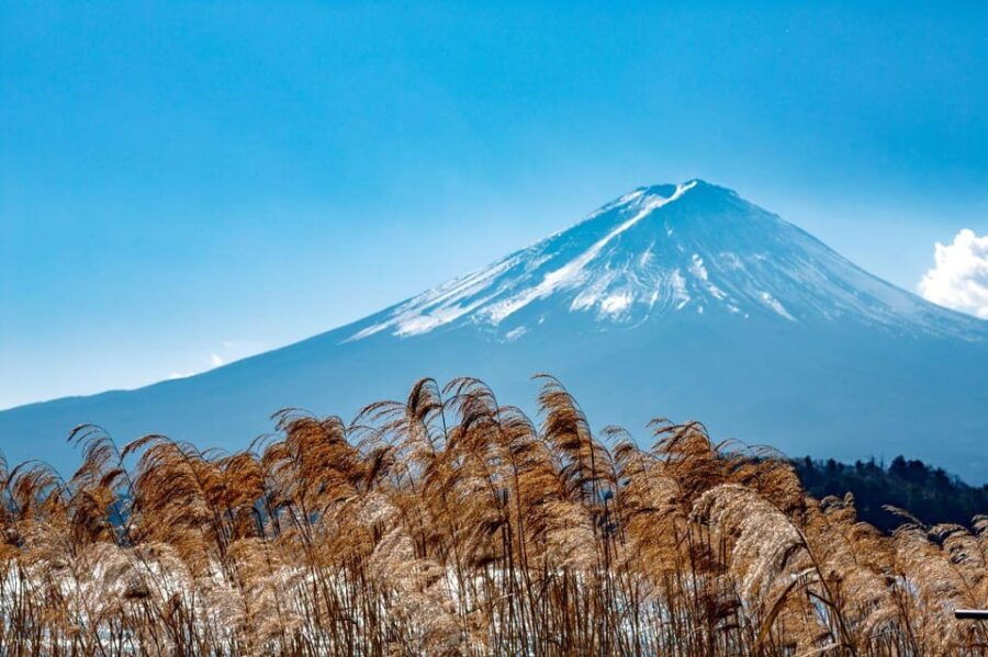 Tokyo: Mount Fuji, Yamanaka Lake, Kawaguchiko Lake Day Trip