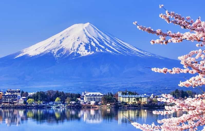 Tokyo: Mt.Fuji Kawaguchiko, Oshino Hakkai,Matcha-Making Tour - Tour Overview and Pricing