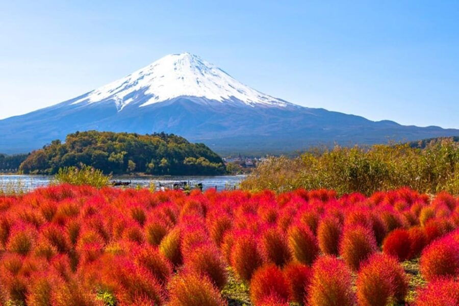 Tokyo: Mt Fuji Trip With Kawaguchiko Ropeway and Matcha Tea