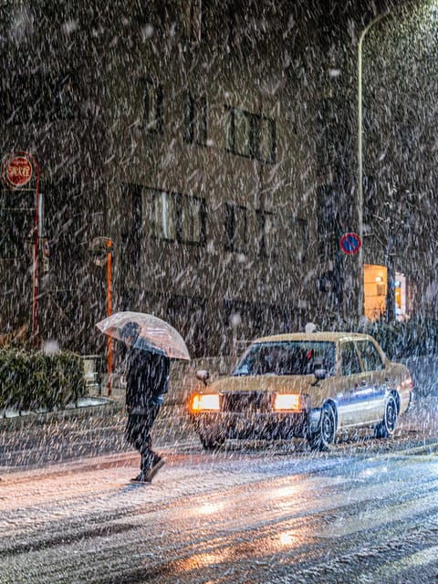 Tokyo Private Bespoke Photo Tour - Tour Overview and Pricing