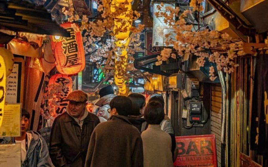 Tokyo: Shinjuku District Guided Half-day Tour at Night - Tour Overview and Pricing