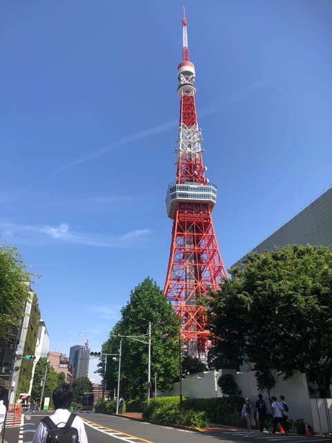 Tokyo Tours in Spanish (Tsukiji Market-Ginza-Tokyo Tower)