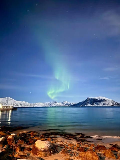 Tromso: Aurora Tour Hygge Magic Experience.(Wifi Free)