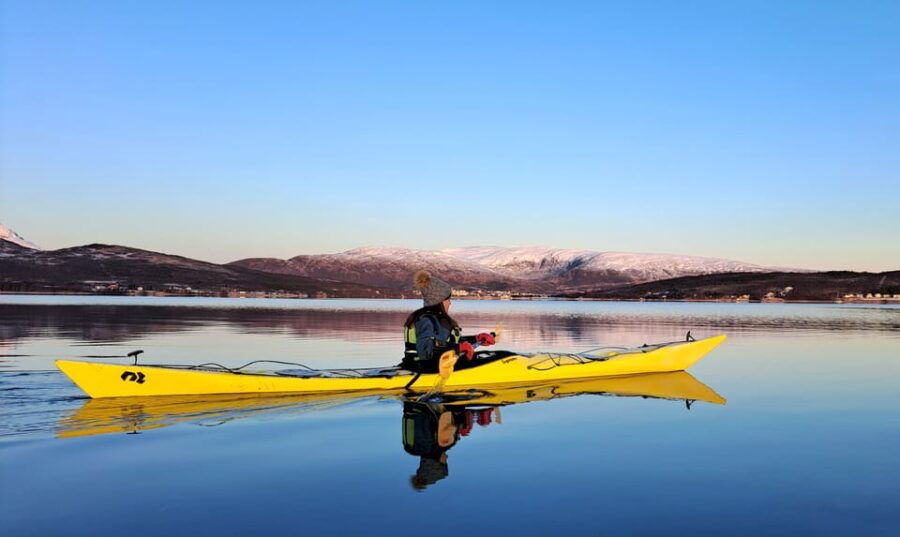 Tromsø: Easy Winter Kayaking Tour With Seal Watching - Tour Overview and Pricing