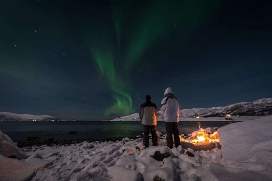 Tromsø Northern Lights – Private Group Tour With Local Guide