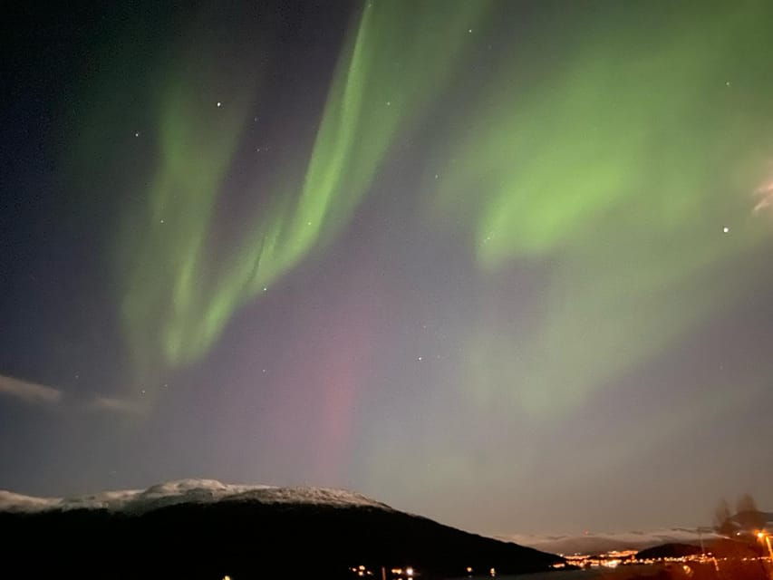 Tromsø: Private or Semi-private Northern Lights Tour