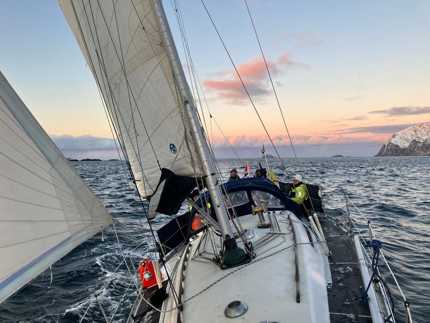 Tromsø: Take to Kaldfjord on a Sailboat