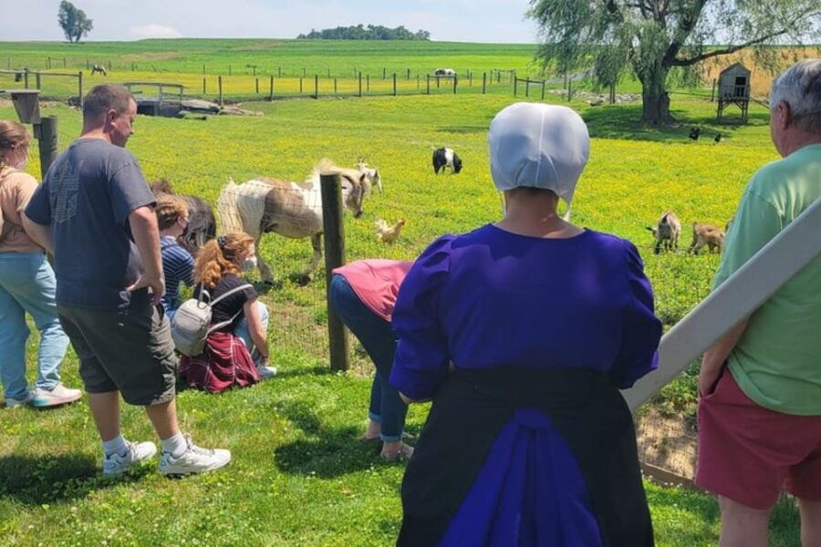 Unique Amish Immersion Experience - Tour Overview and Pricing