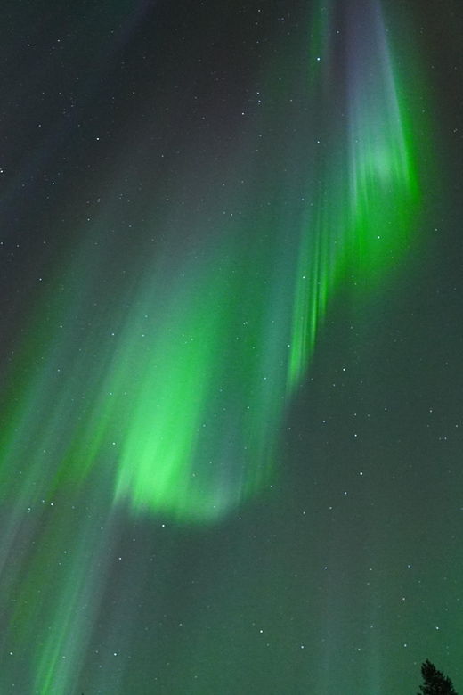 Unlimited Range! Northern Lights Photo Safari