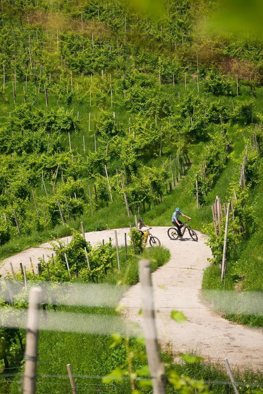Valdobbiadene: Self-Guided E-Bike Tour in the Prosecco Hills