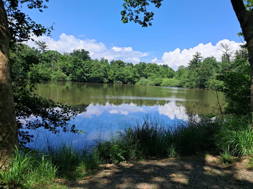 Venaria Reale: Self-Guided E-Bike Tour of Mandria Park