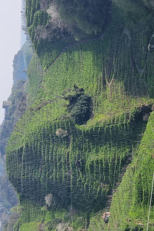 Venice : Prosecco Hills Tour With Tasting and Wine!!
