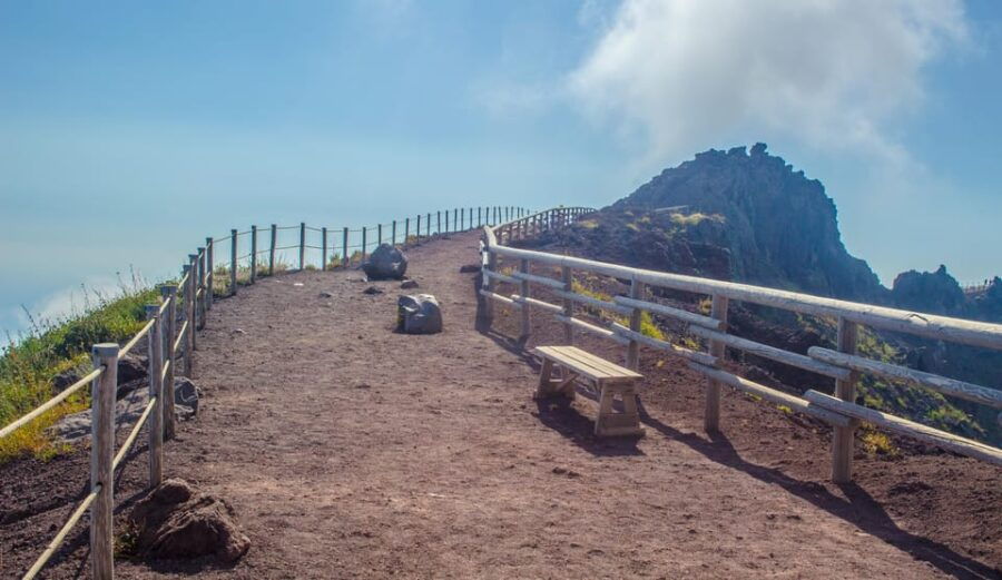 Vesuvius National Park: Skip-The-Line Ticket and Audio Guide - Ticket Pricing and Cancellation