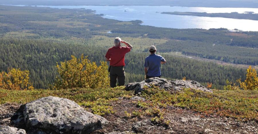 Vindelfjäll Nature Reserve: A Walk Through Reindeer Country