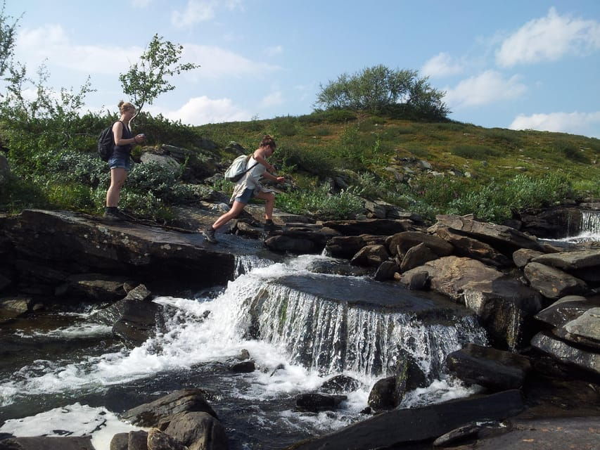 Vindelfjäll Nature Reserve: a Walk Through Reindeer Country - Overview of the Day Trip