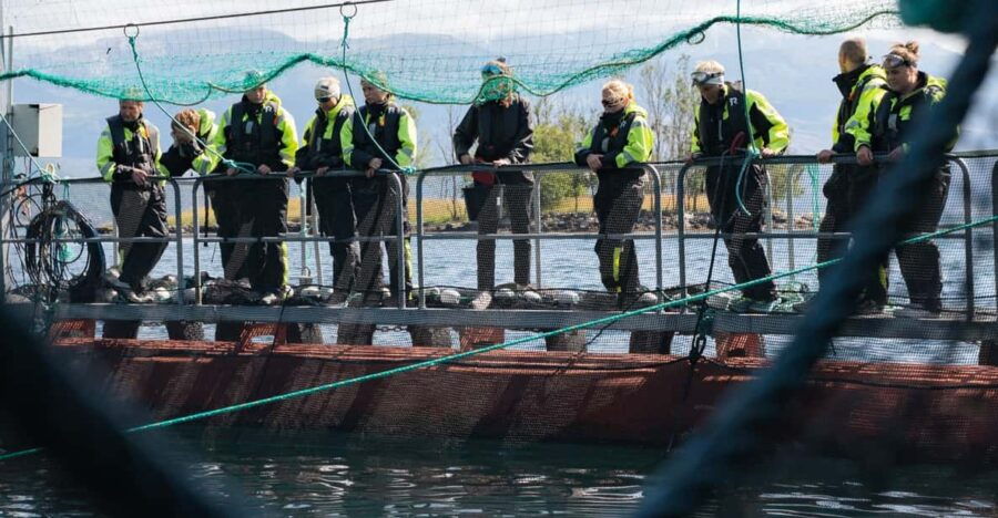 Vist a Fish Farm in Hardanger, Guided Tour, With Rib-Boat.