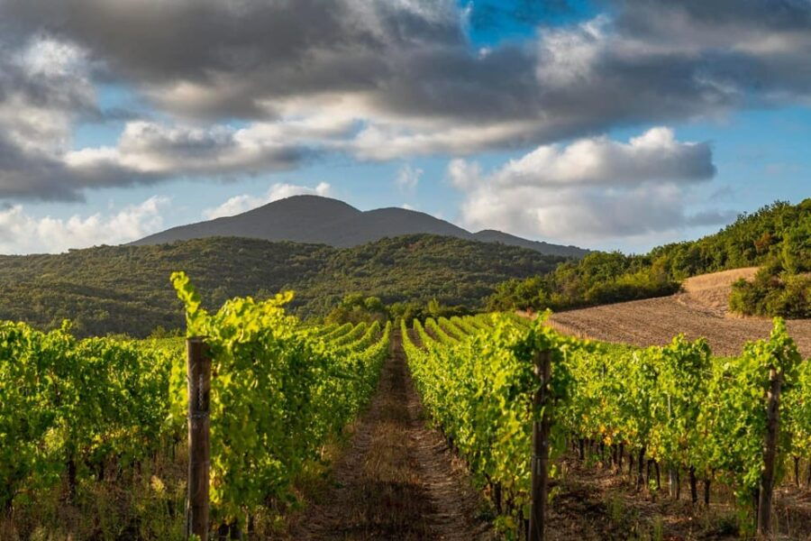 Wine Tasting in a Romantic Castle With Archaeologist Guide