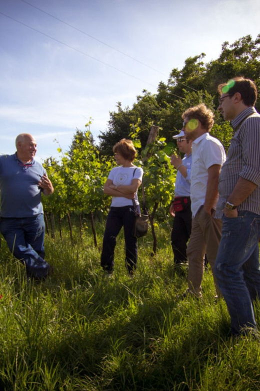 Winery Tour & Tasting on Padova Hills