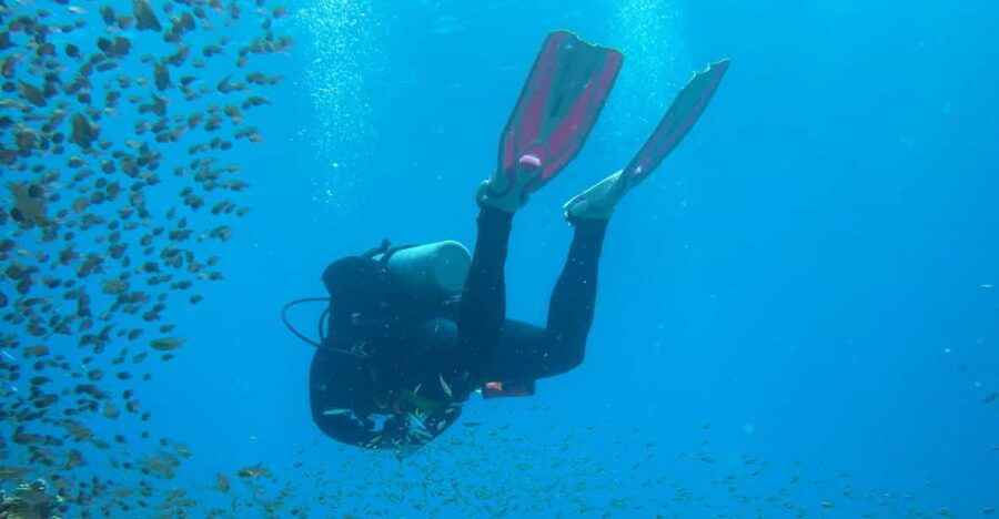 Wuppertal: Beginners Diving Course With Certified Instructor