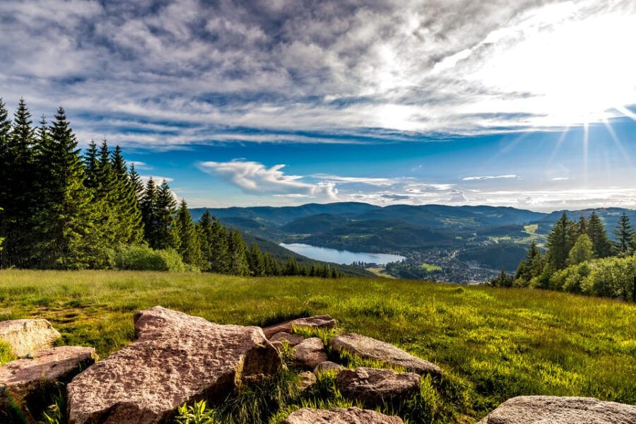 Zurich: Black Forest, Titisee, and Rhine Falls Bus Day Trip - Trip Overview