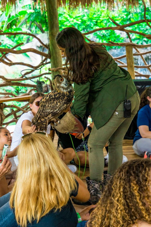 ZWF Miami: General Wildlife Experience - 1 Hour Tour - Tour Overview