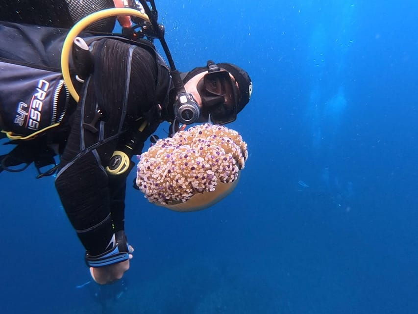 Alghero: Diving Experience