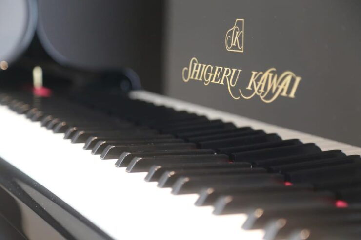 Central Tokyo: Self Check-In Private Grand Piano Room【Sk-3】 - Piano and Facility Features