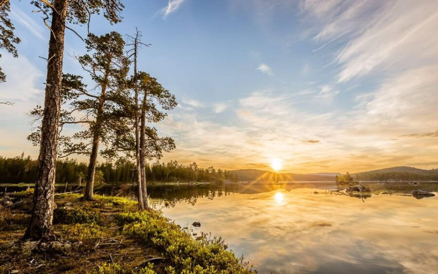 Summer Tour From Rovaniemi: Korouoma Waterfall and Ranua Zoo - Tour Overview and Pricing