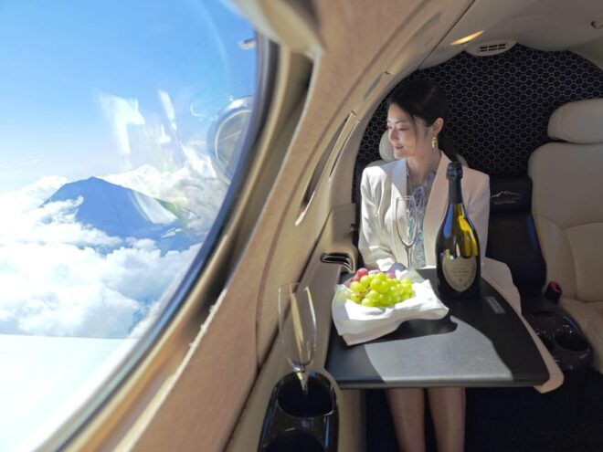 【Tokyo to Osaka】Japan Domestic Private Jet Transfer - Payment Options