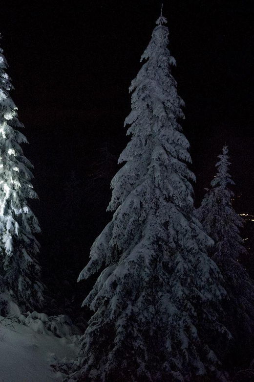 Night Snowshoeing Lapland Experience - Experience Overview
