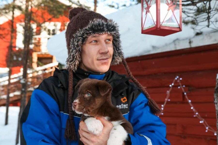 Rovaniemi: Daytime Husky Safari