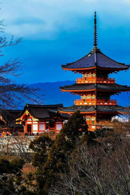 Kansai 10-Hour Chartered Day Trip｜Kyoto - Inclusions for Your Trip