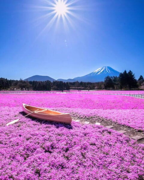 Tokyo:Lake Kawaguchi、Oshino Hakkai、View Mount Fuji Day Trip - Photography Tips