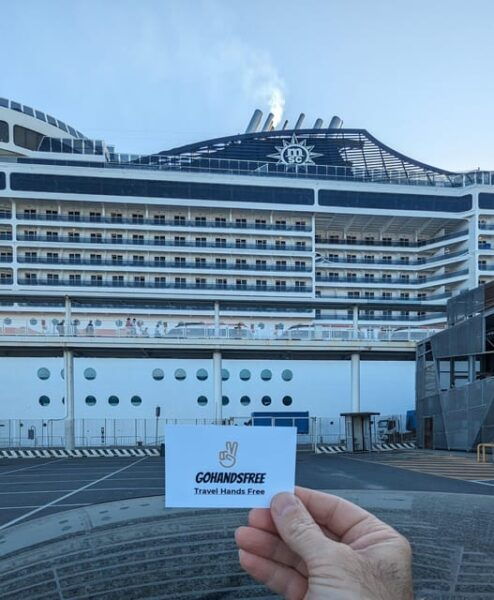 Transfer Civitavecchia and Airport by Train+Luggage Delivery - Pricing