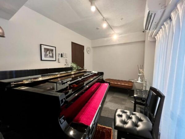 Central Tokyo: Self Check-In Private Grand Piano Room【Sk-3】 - Nearby Attractions