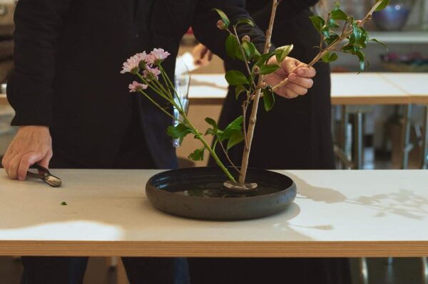 Kyoto: Lovely Experience・Learn the Essence of Ikebana - Accessibility Features