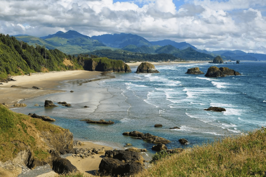 Explore the Oregon Coast: Scenic Driving Tour - Overview of the Tour