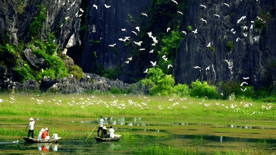 From Hanoi: Visit Hoa Lu/ Bai Dinh & Bich Dong & Thung Nham