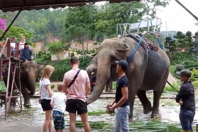 From Nha Trang: Dalat Tour 2 Days 1 Night - Tour Overview