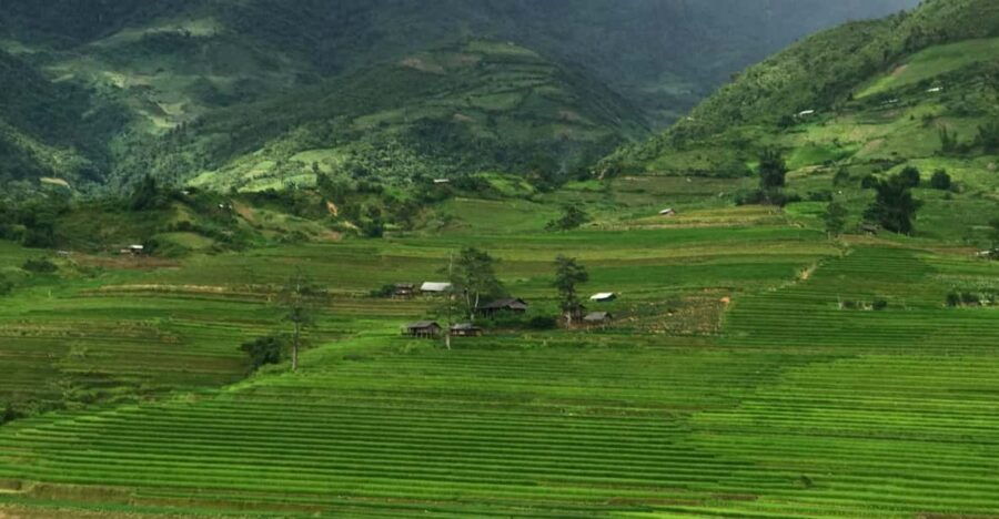 From Sapa to Mu Cang Chai – Rice Terraces Treks & Easy Rider