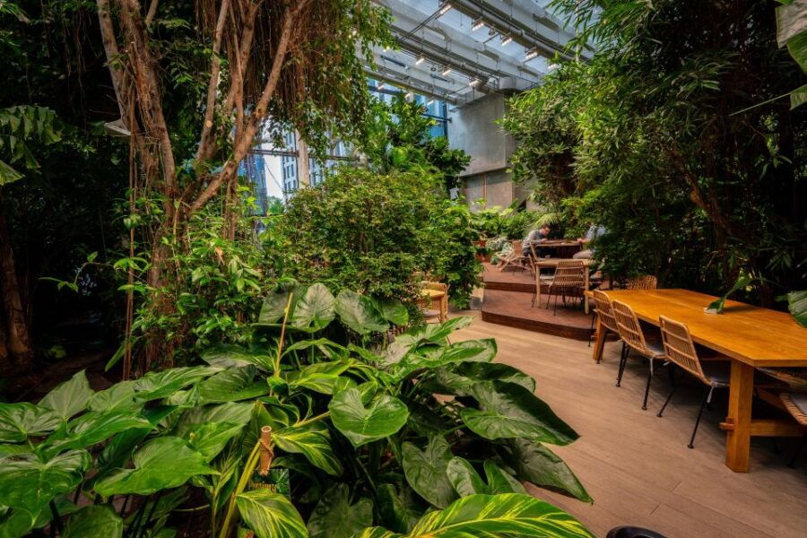 GdańSk: Live Cuban Music and Oriental Food in Tropics - Good To Know