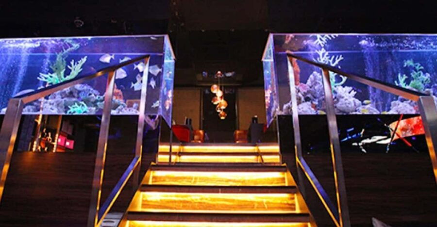 Kabukicho, Shinjuku: Experiencing Japanese Host Club - Booking and Reservations