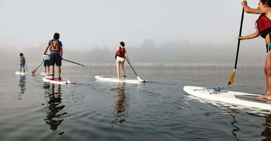 Maine: Half-Day Paddleboard Rental - Activity Overview
