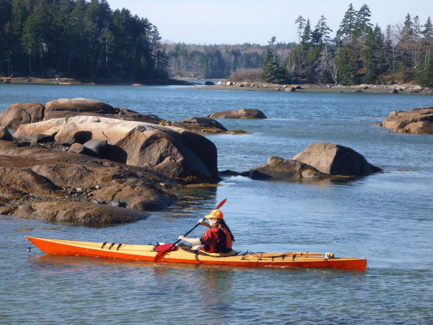 Maine: Penobscot River Guided Kayaking Tour
